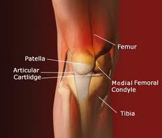 Knee Injuries