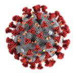 Coronavirus-CDC.jpg Coronavirus-CDC.jpg