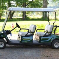 bigstock-Double-golf-cart-7784512.jpg