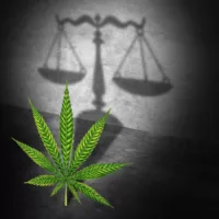 bigstock-Legal-Marijuana-Law-Concept-As-241587031.jpg bigstock-Legal-Marijuana-Law-Concept-As-241587031.jpg