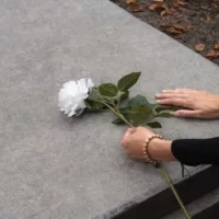 a hand holding a white rose on a grave for a wrongful death